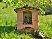 Mi son goduto la peonia dello Zucco e non solo ! – 23magg23 - FOTOGALLERY